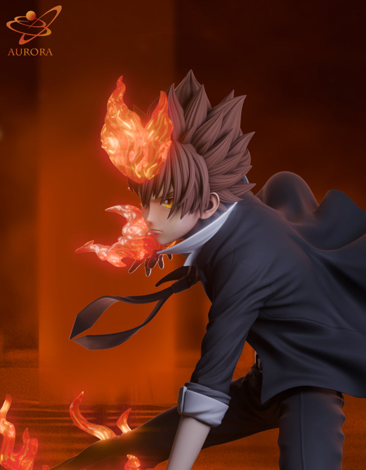 Katekyo Hitman Reborn Aurora Studio Sawada Tsunayoshi Resin Statue