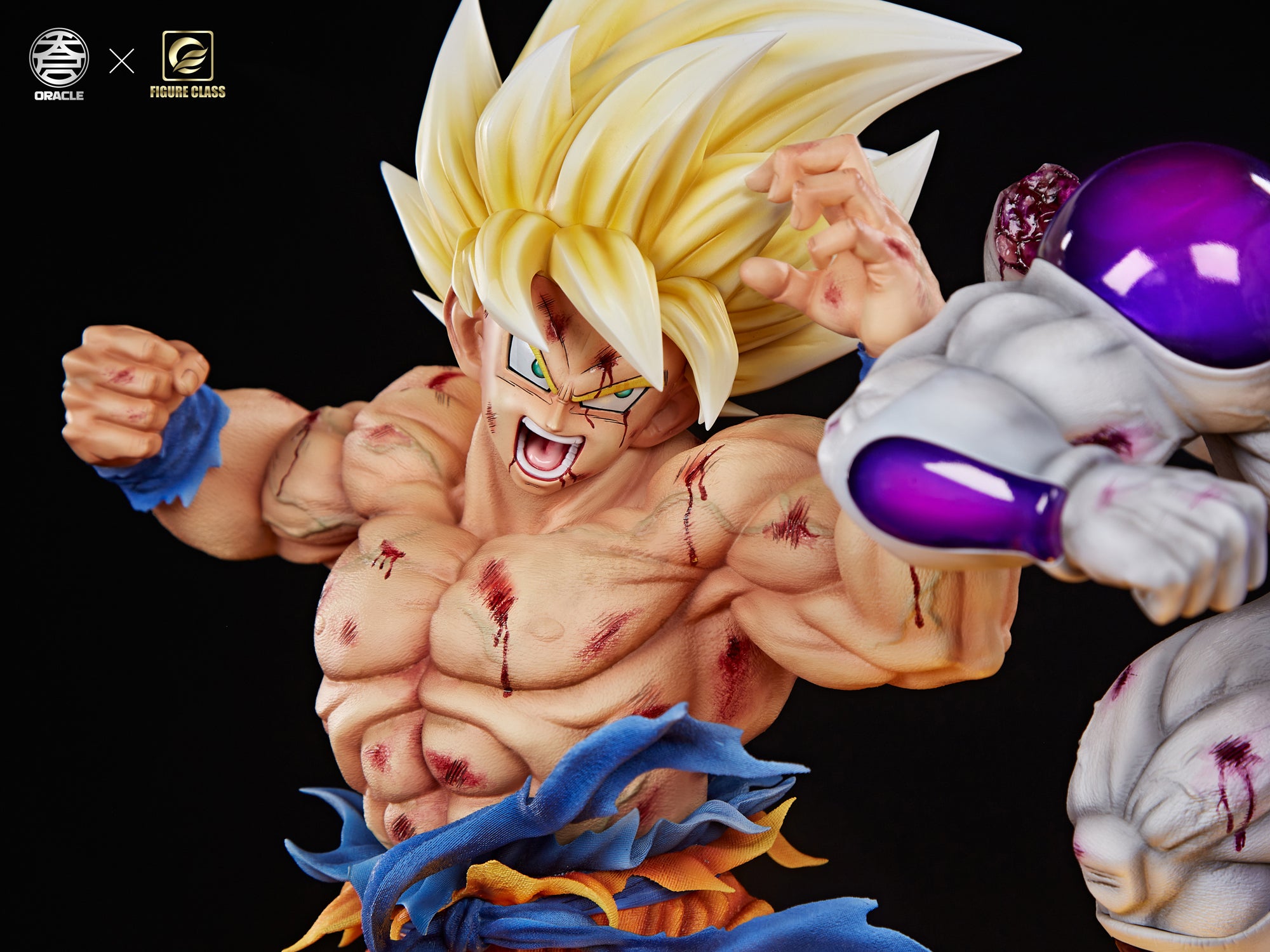 Dragon Ball Oracle x Figure Class Goku VS Frieza Namek Battle
