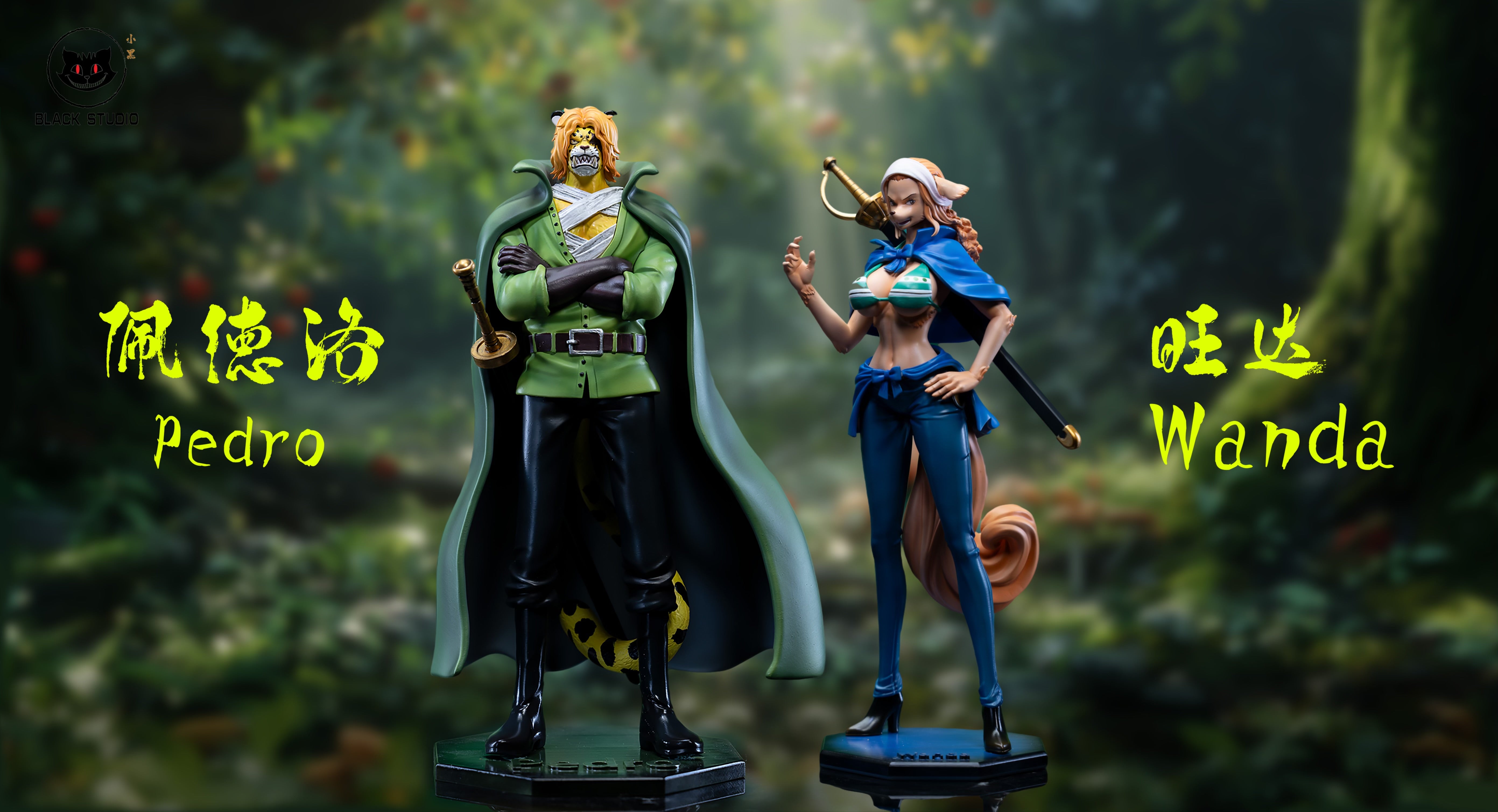 One Piece Black Studio Pedro x Wanda Resin Statue – ClubHouse Statues