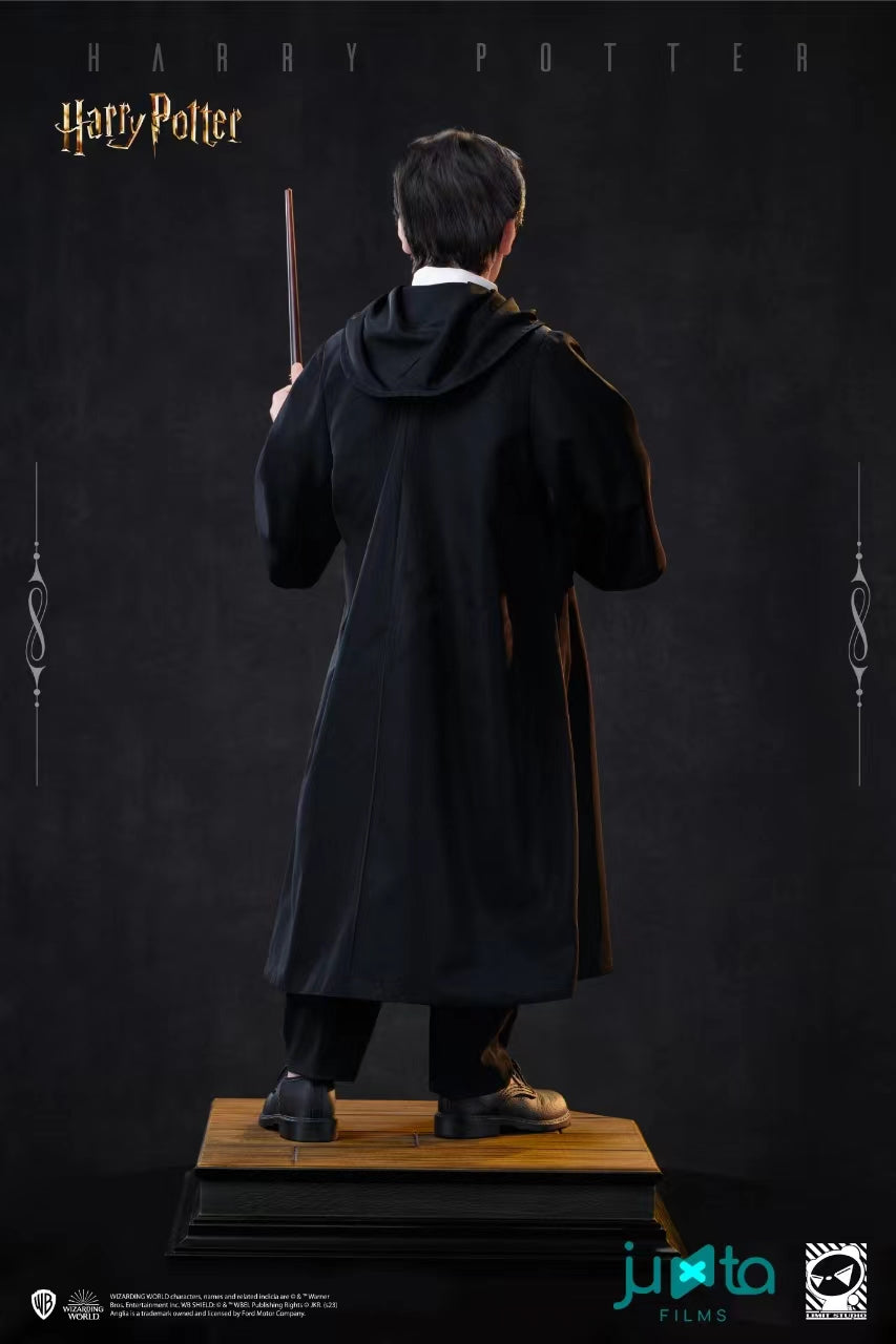 Harry Potter Limit Studio Harry Potter Licensed Resin Statue