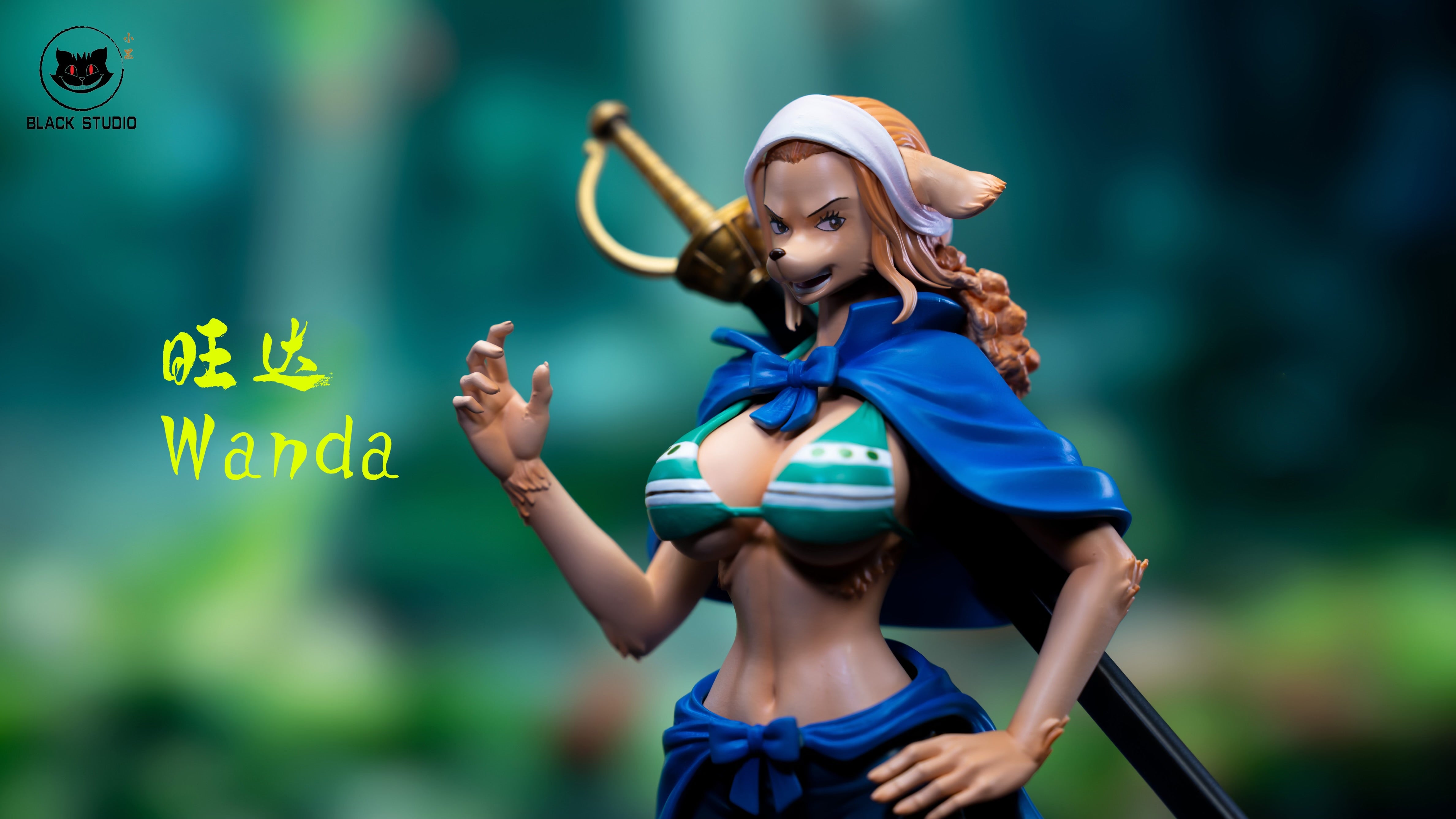 One Piece Black Studio Pedro x Wanda Resin Statue – ClubHouse Statues
