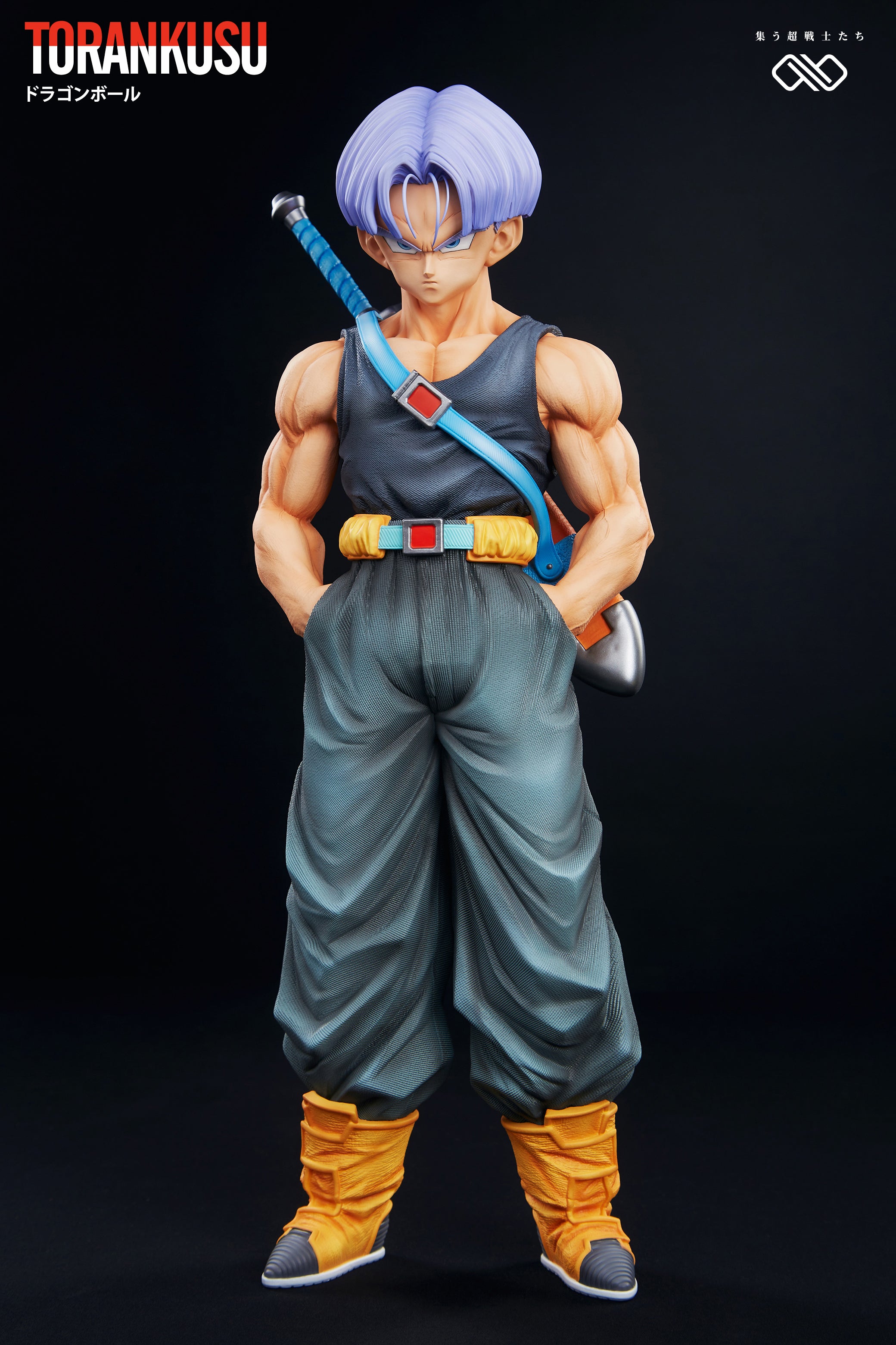 Dragon Ball Infinite Studio Vegeta x Trunks Z Warrior Series