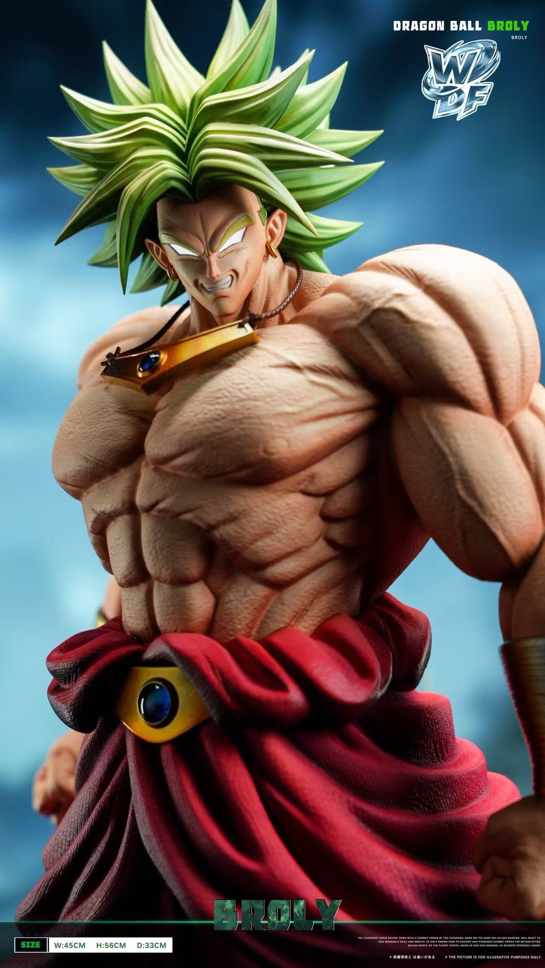 Dragon Ball WDF Studio Broly