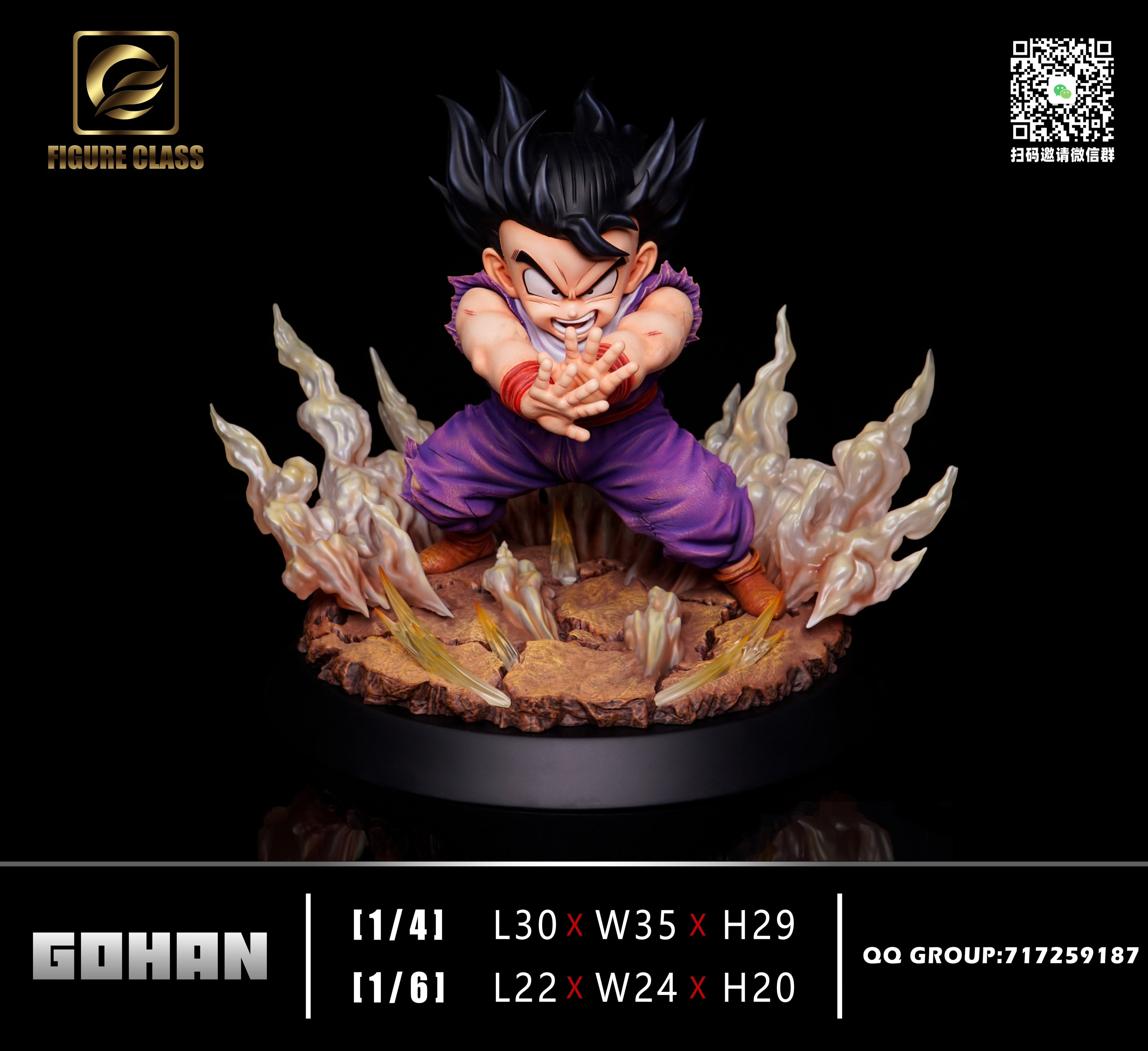 Dragon Ball Figure Class x Oracle Studio Son Gohan Masenko Attack
