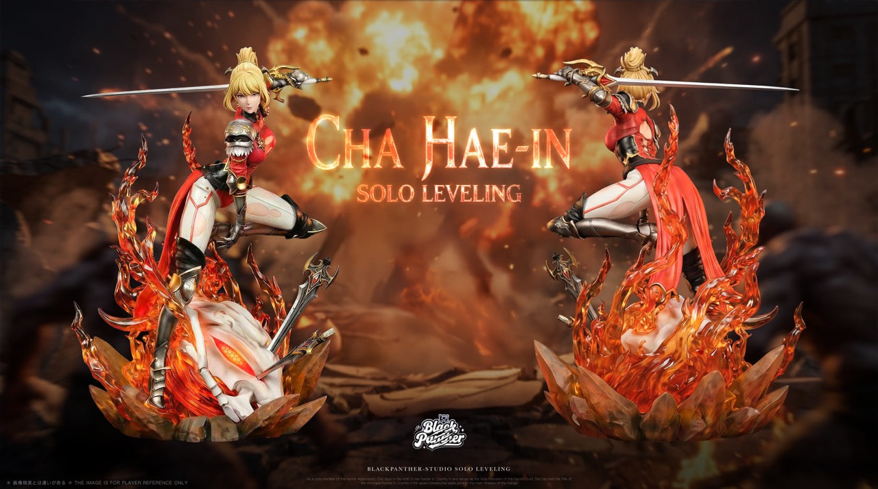 Solo Leveling Black Panther Studio Sung Jin Woo X Cha Hae In