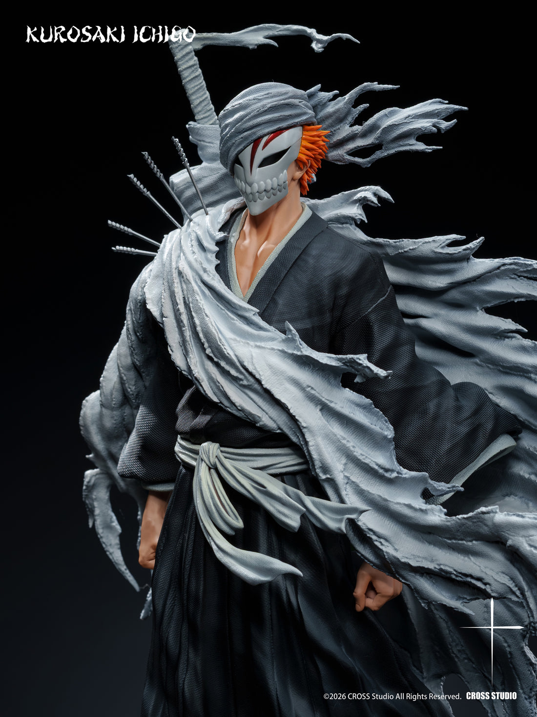 Bleach Cross Studio Ichigo Kurosaki