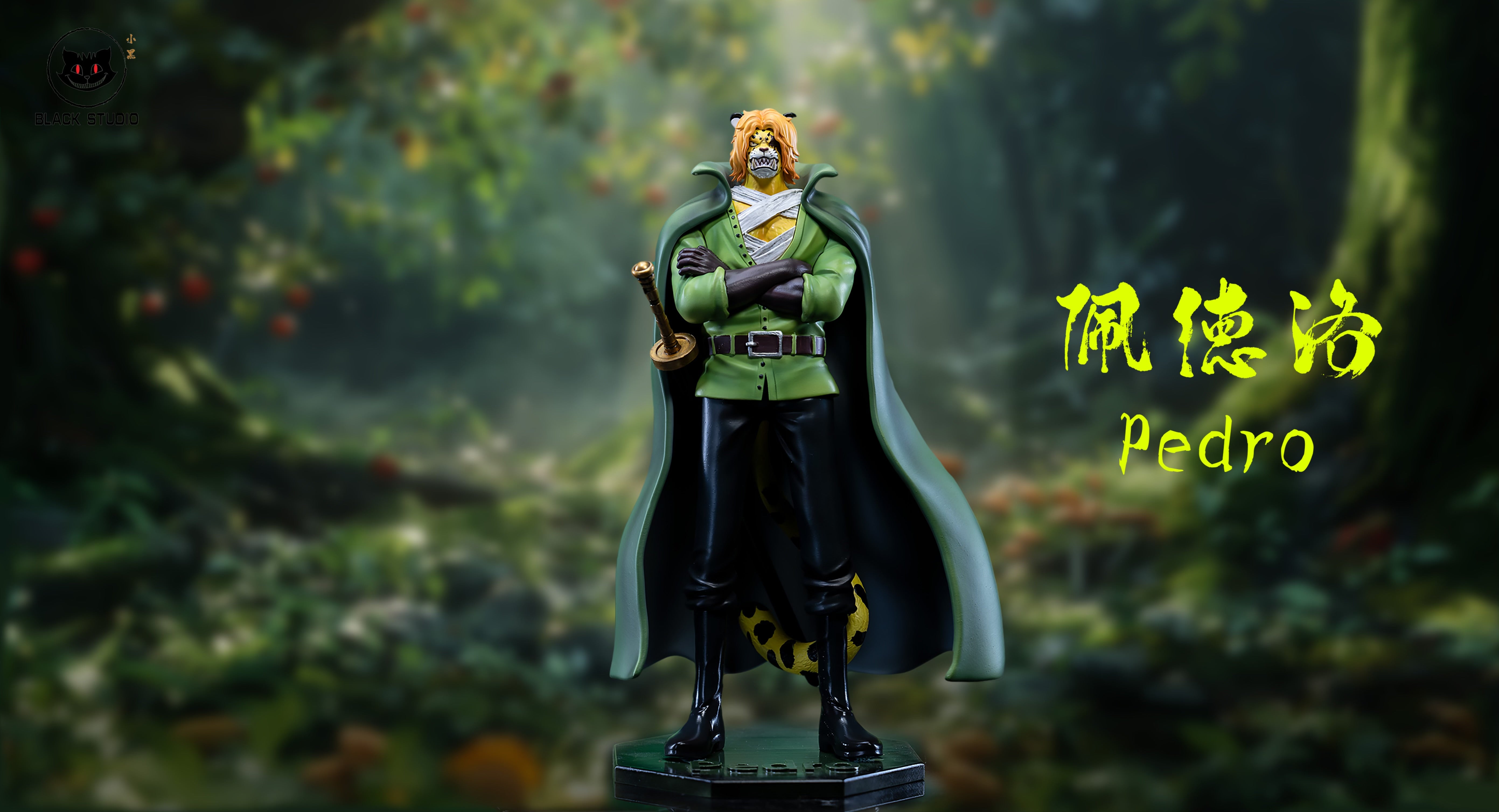 One Piece Black Studio Pedro x Wanda Resin Statue – ClubHouse Statues