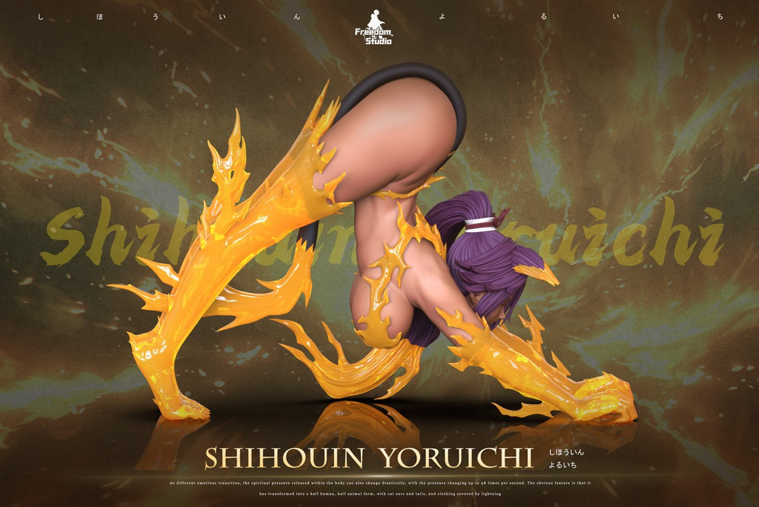 Bleach Freedom Studio Shihouin Yoruichi