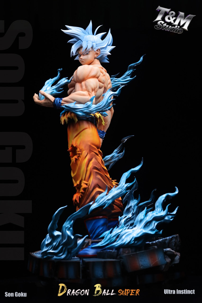 Dragon Ball T&M Studio Goku UI