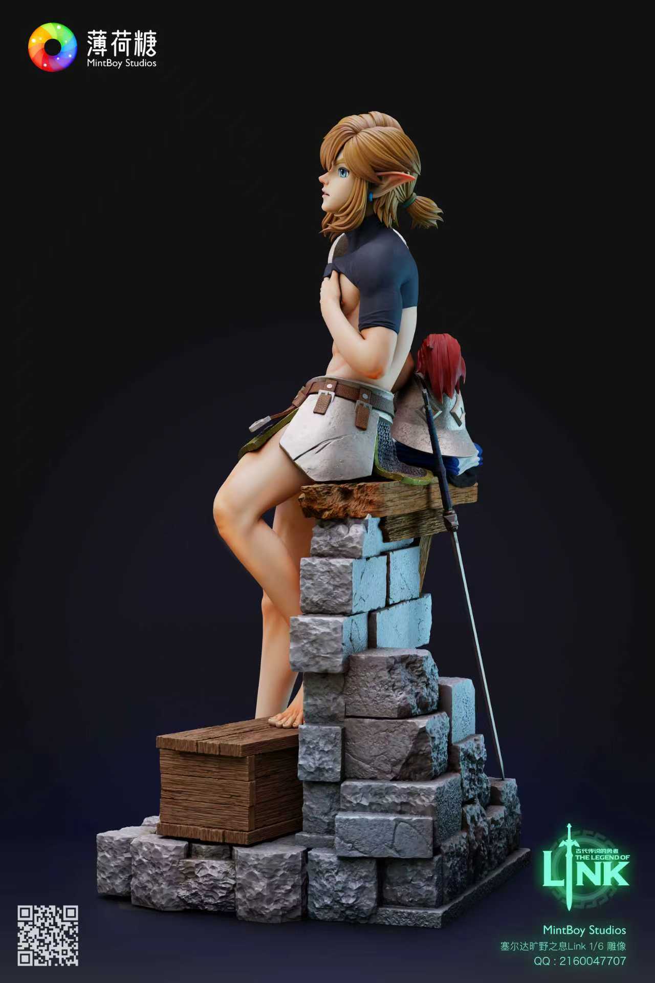 The Legend of Zelda MintBoy Studio Training Soldier Link