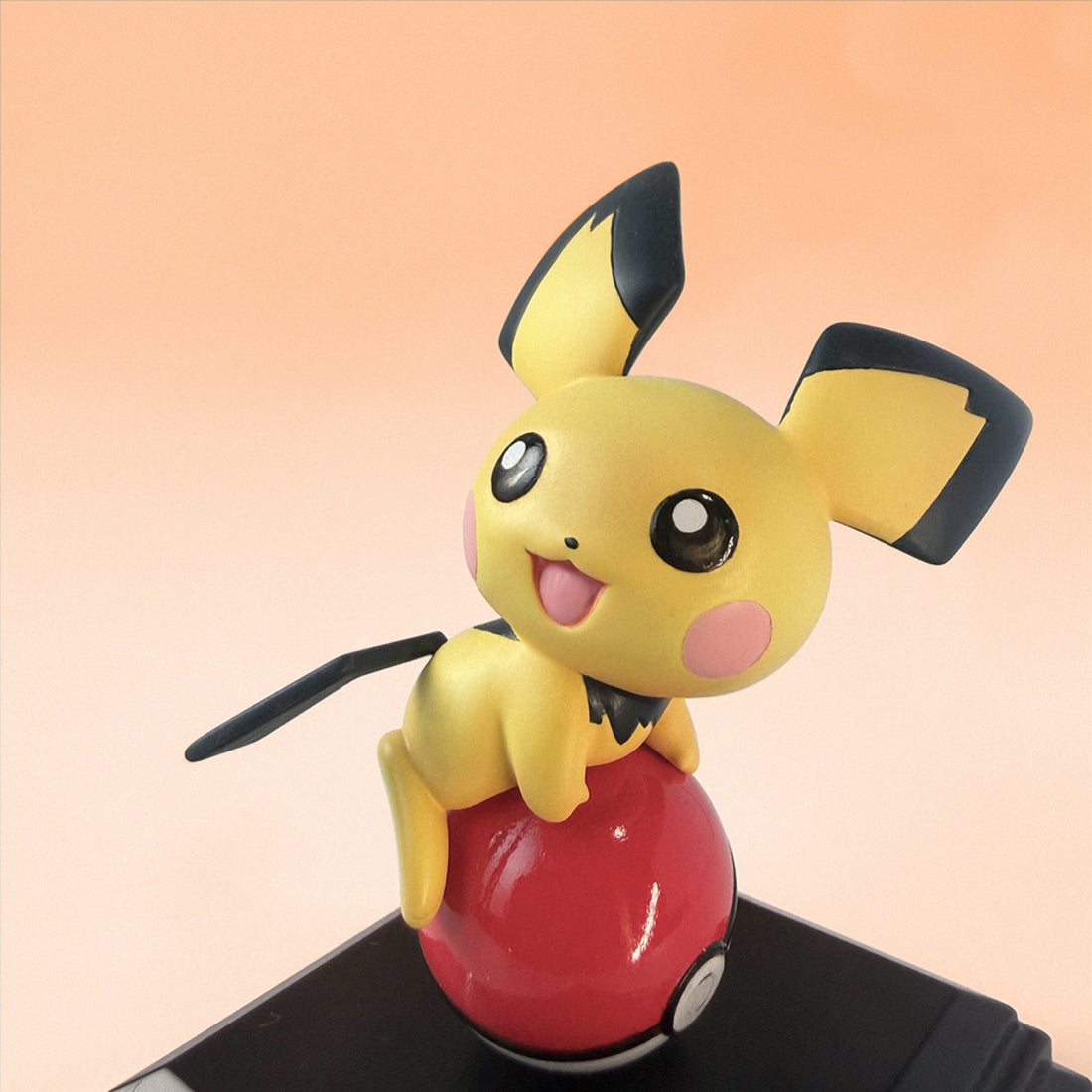 Pokemon Miumiu Studio Pichu