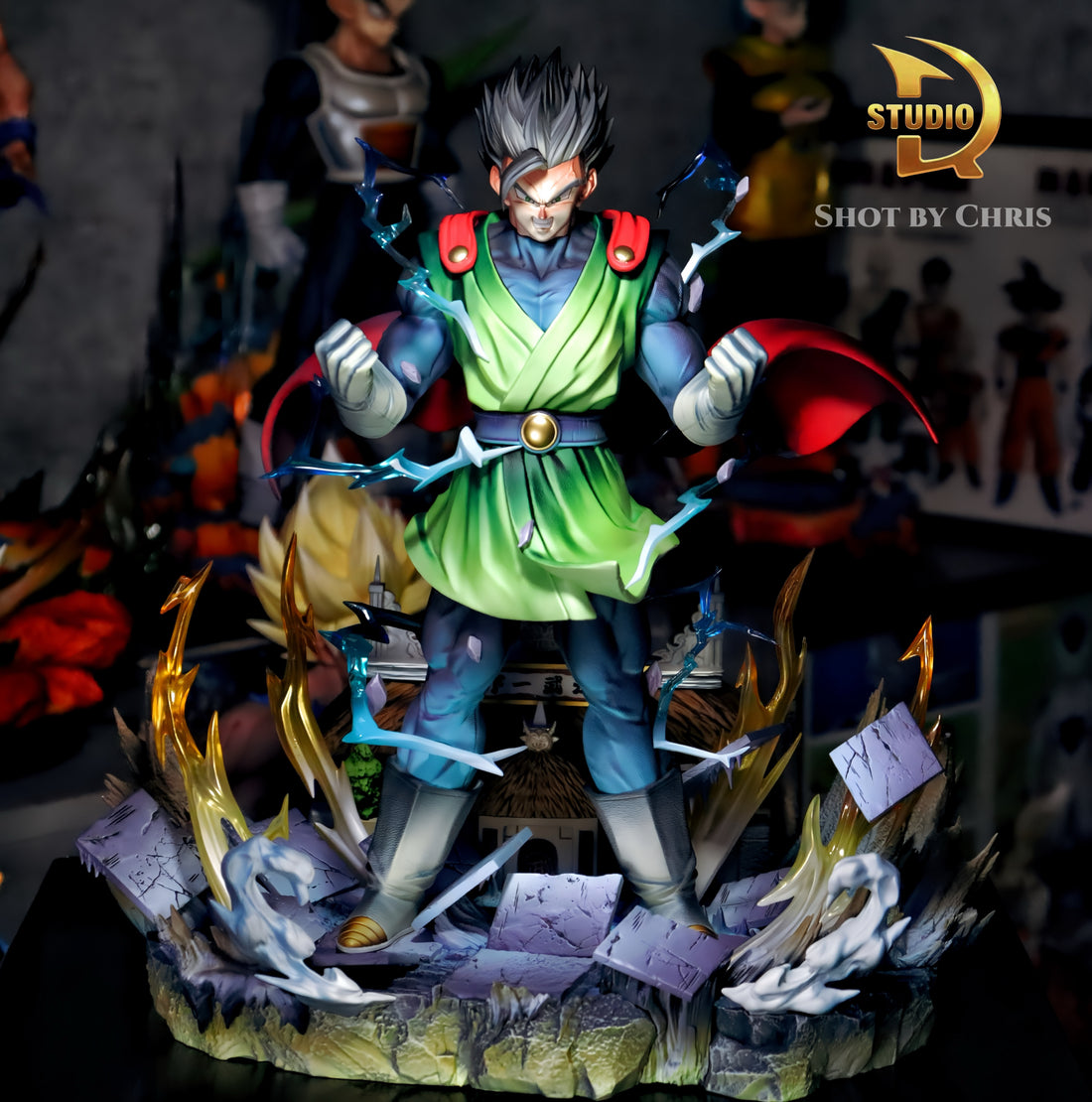 Dragon Ball TDR Studio Son Gohan