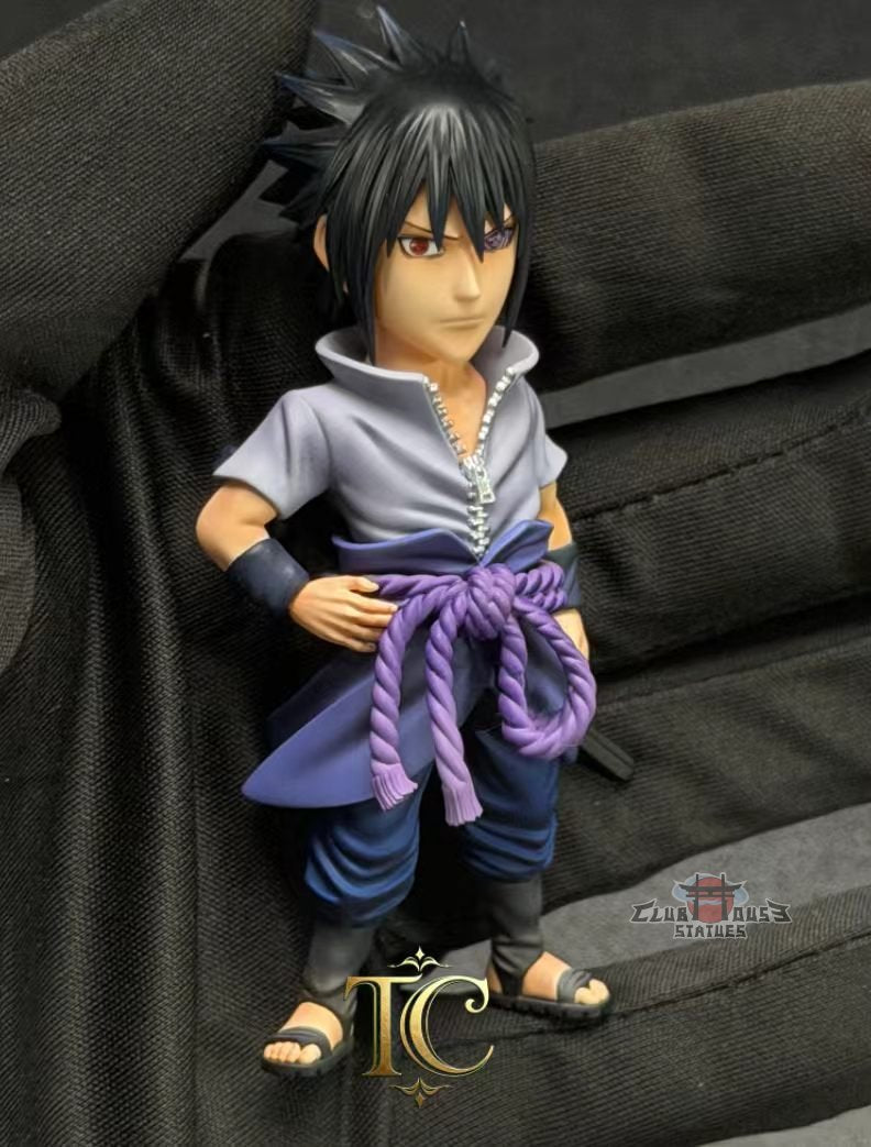 Naruto TC Studio Naruto and Sasuke