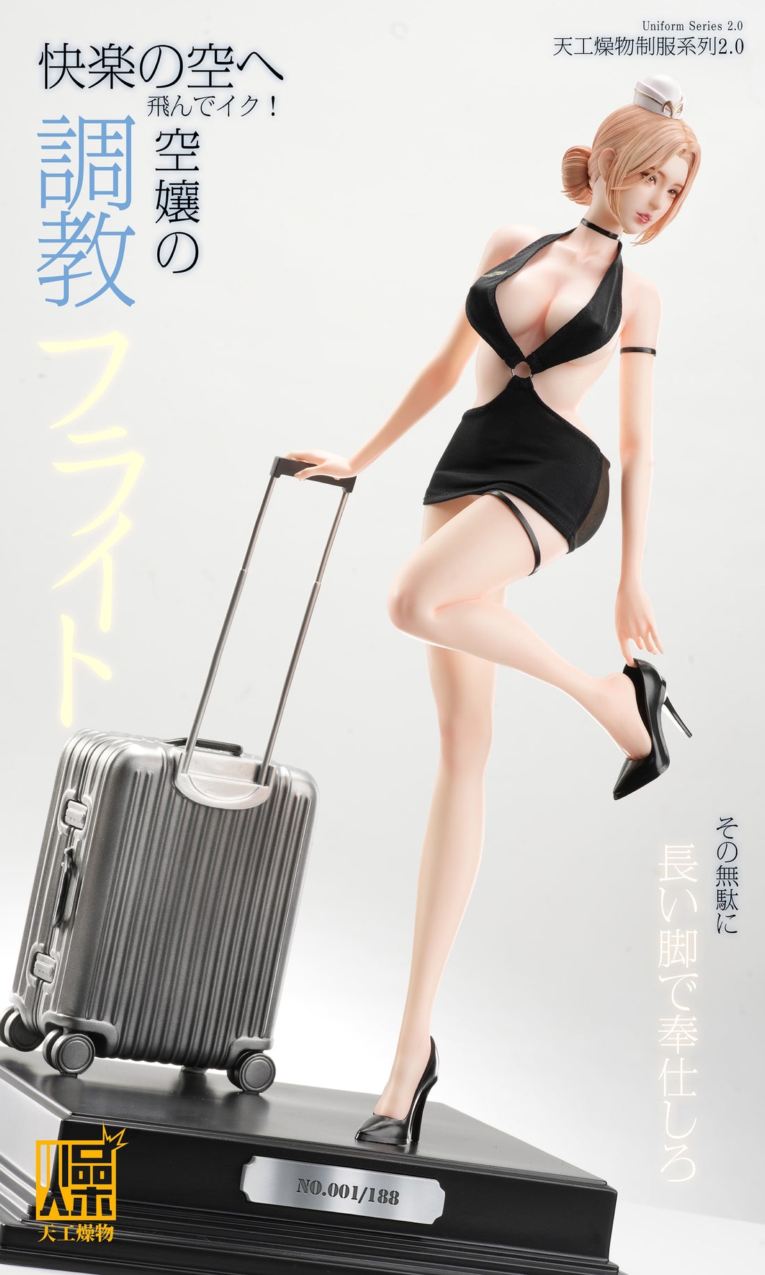 TGZW Studio Flight Attendant Flight Training
