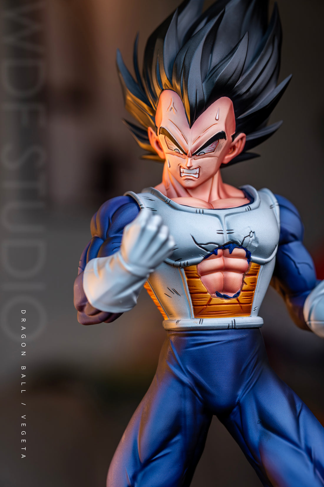 Dragon Ball WDF Studio Vegeta Namek